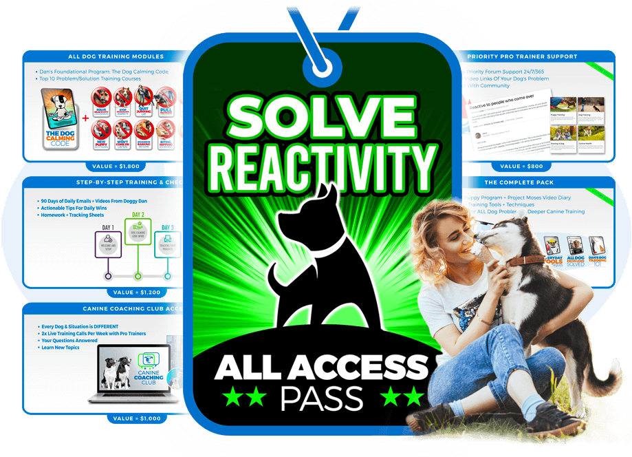 Solve Dog Reactivity AutoWebinar pricing